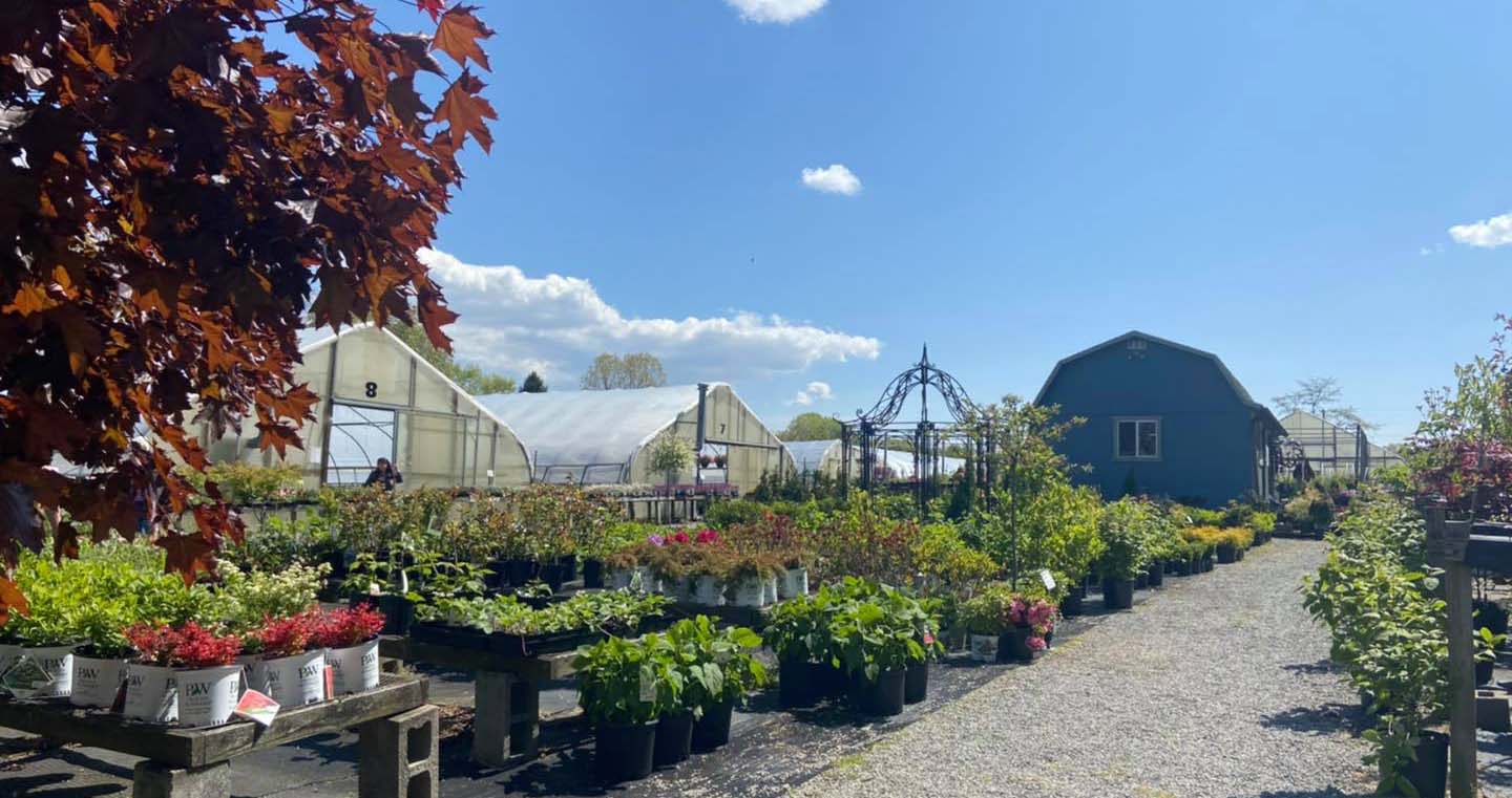 Country Colors Greenhouse Ohio Welcome