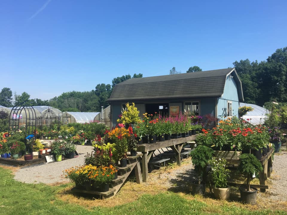 Country Colors Greenhouse Ohio Beautiful Day