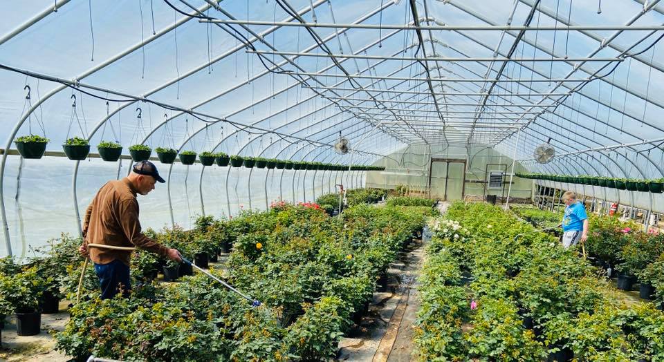 Country Colors Greenhouse Ohio Indoor Growing